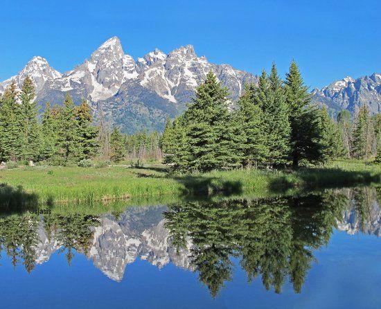 Schwabacher Landing