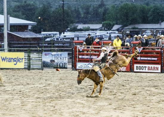 Jackson Hole Rodeo